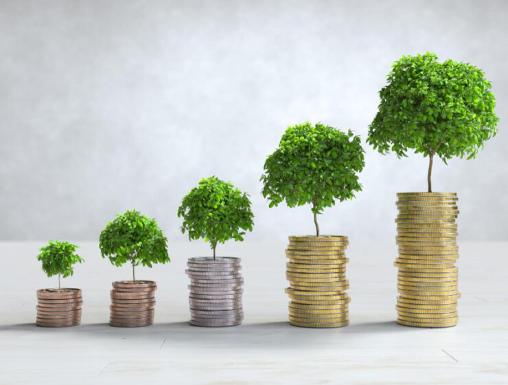 true potential wealth management, wealth management